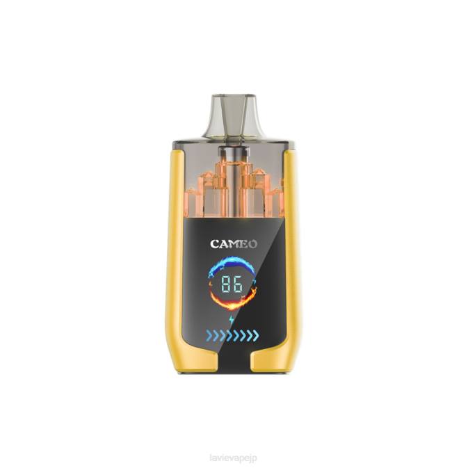 マンゴーアイス LAVIE CAMEO 30000パフ 260P21 | Lavie Vape Japan